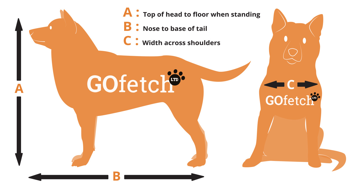 How to measure your dog for transport GoFetch